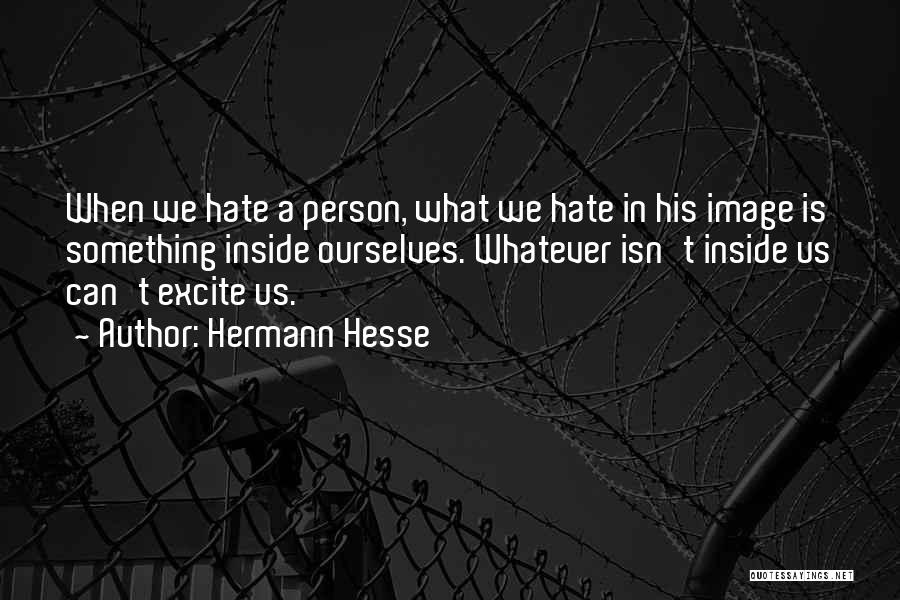 Hermann Hesse Quotes: When We Hate A Person, What We Hate In His Image Is Something Inside Ourselves. Whatever Isn't Inside Us Can't