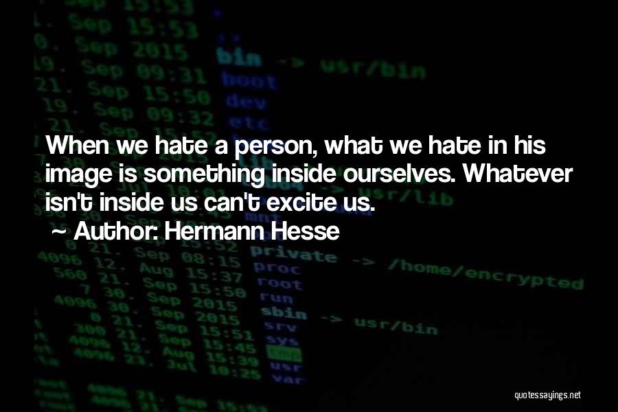 Hermann Hesse Quotes: When We Hate A Person, What We Hate In His Image Is Something Inside Ourselves. Whatever Isn't Inside Us Can't