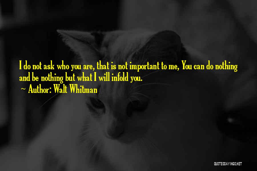 Walt Whitman Quotes: I Do Not Ask Who You Are, That Is Not Important To Me, You Can Do Nothing And Be Nothing