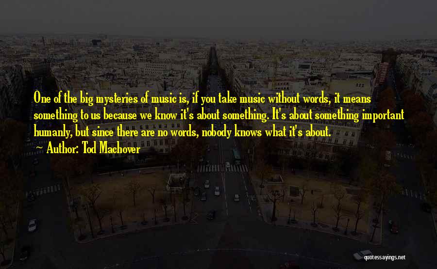 Tod Machover Quotes: One Of The Big Mysteries Of Music Is, If You Take Music Without Words, It Means Something To Us Because