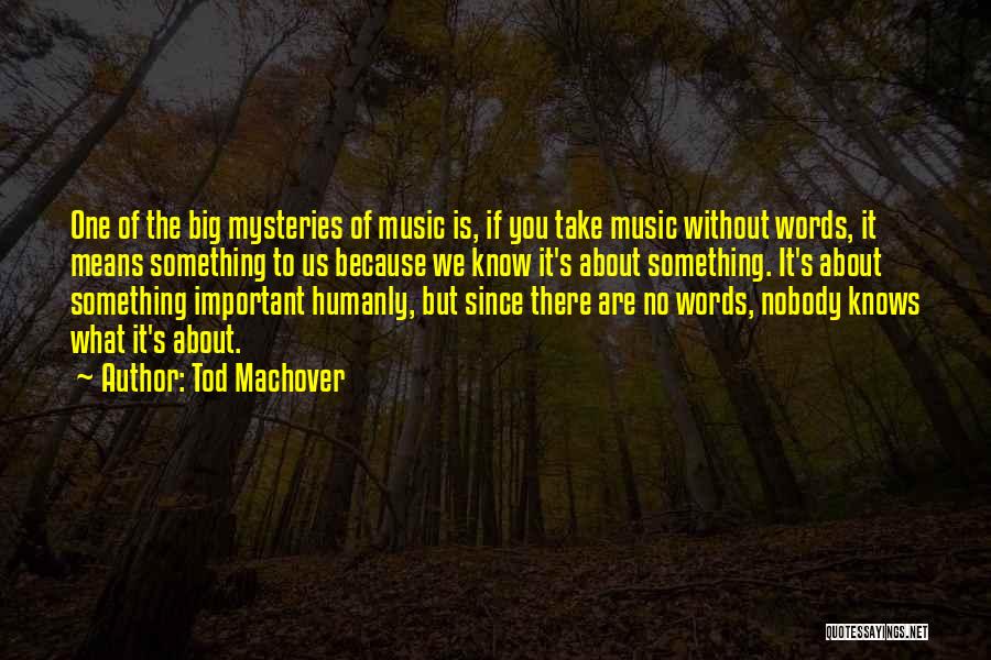 Tod Machover Quotes: One Of The Big Mysteries Of Music Is, If You Take Music Without Words, It Means Something To Us Because