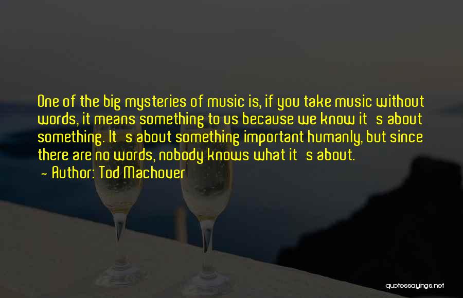 Tod Machover Quotes: One Of The Big Mysteries Of Music Is, If You Take Music Without Words, It Means Something To Us Because