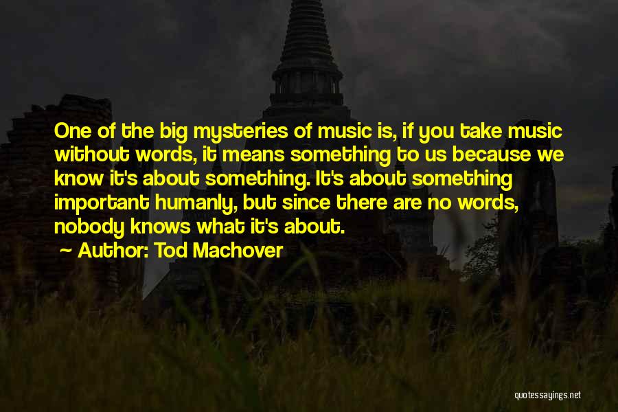 Tod Machover Quotes: One Of The Big Mysteries Of Music Is, If You Take Music Without Words, It Means Something To Us Because