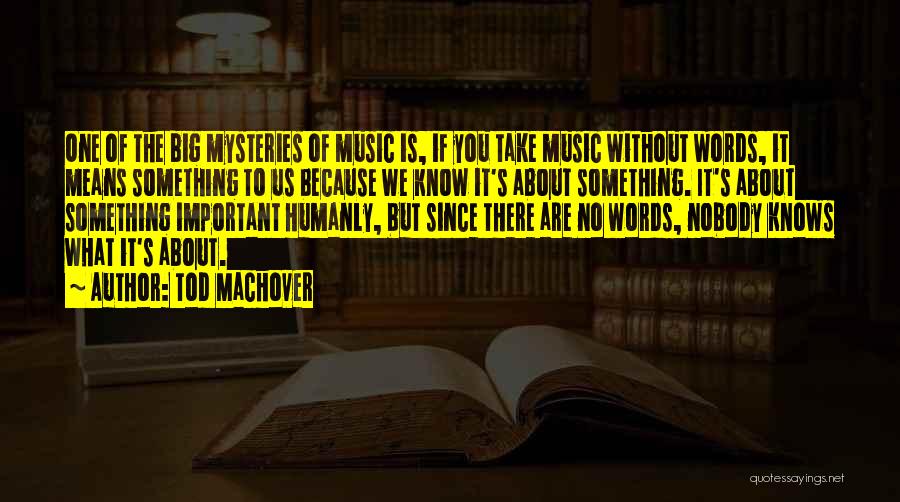 Tod Machover Quotes: One Of The Big Mysteries Of Music Is, If You Take Music Without Words, It Means Something To Us Because