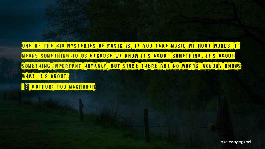 Tod Machover Quotes: One Of The Big Mysteries Of Music Is, If You Take Music Without Words, It Means Something To Us Because