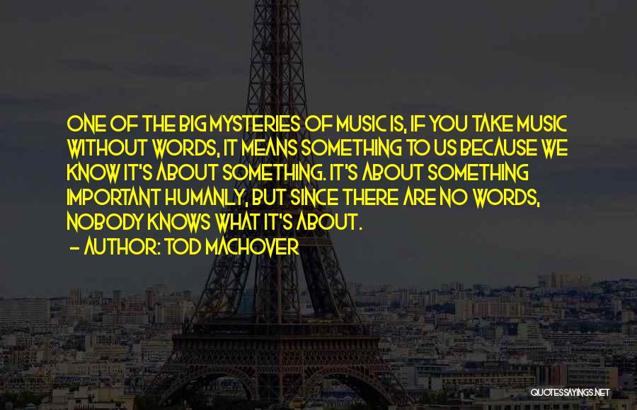 Tod Machover Quotes: One Of The Big Mysteries Of Music Is, If You Take Music Without Words, It Means Something To Us Because