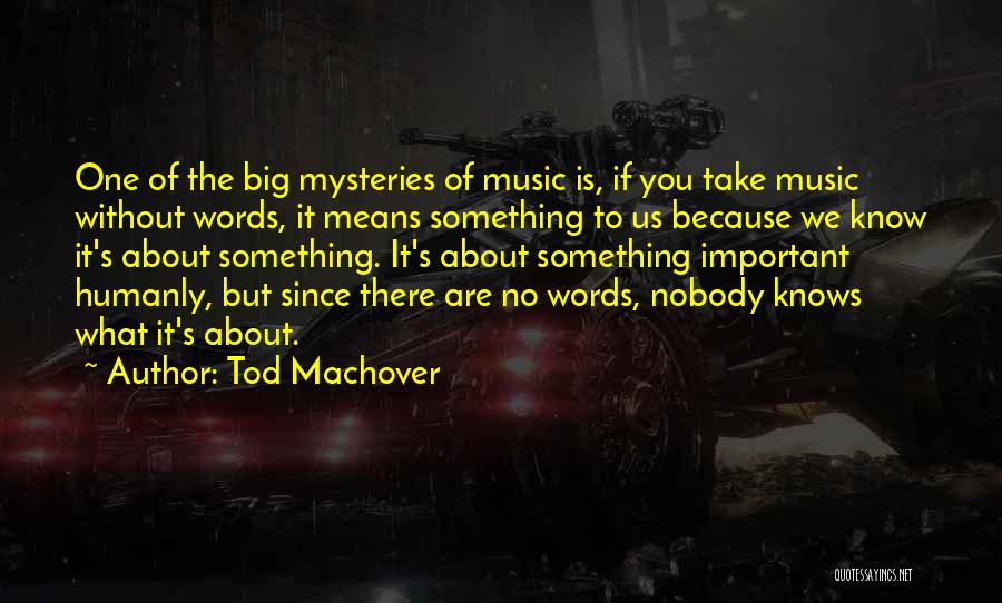 Tod Machover Quotes: One Of The Big Mysteries Of Music Is, If You Take Music Without Words, It Means Something To Us Because