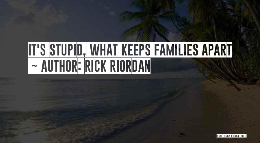 Rick Riordan Quotes: It's Stupid, What Keeps Families Apart