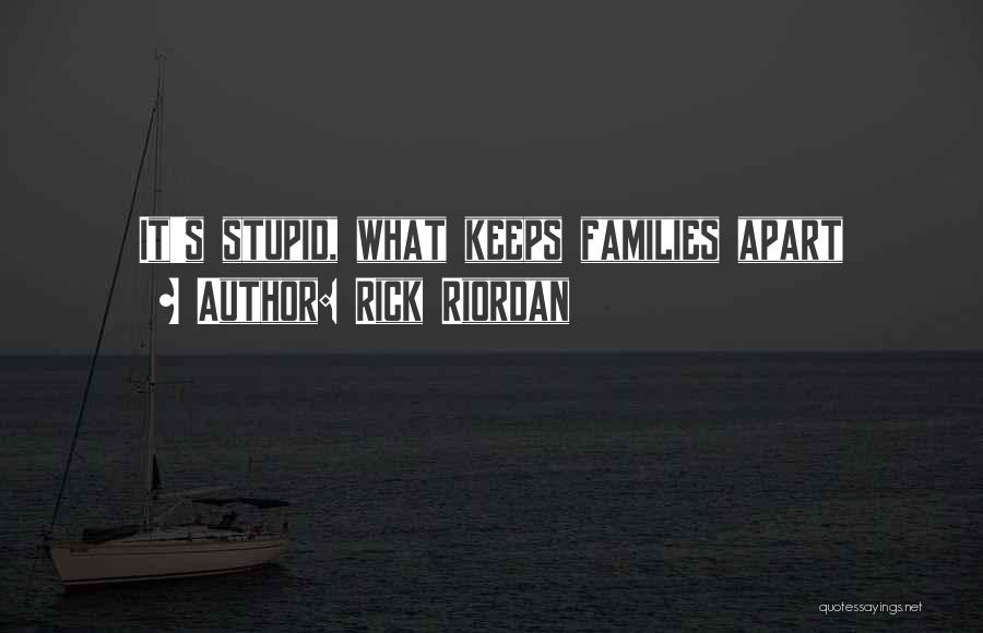 Rick Riordan Quotes: It's Stupid, What Keeps Families Apart