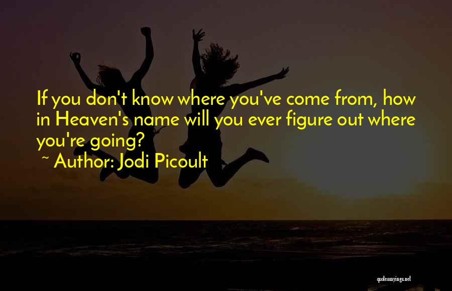 Jodi Picoult Quotes: If You Don't Know Where You've Come From, How In Heaven's Name Will You Ever Figure Out Where You're Going?