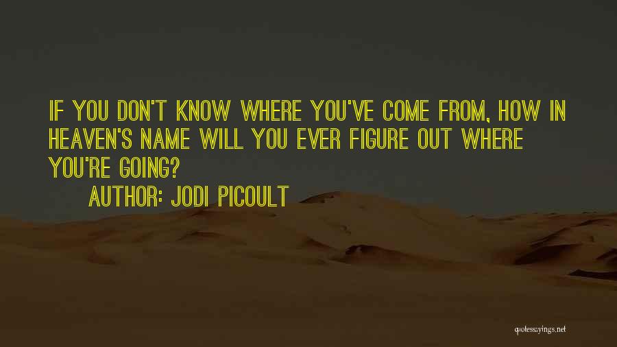 Jodi Picoult Quotes: If You Don't Know Where You've Come From, How In Heaven's Name Will You Ever Figure Out Where You're Going?