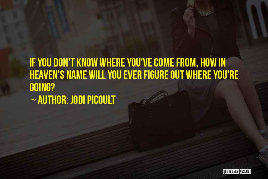 Jodi Picoult Quotes: If You Don't Know Where You've Come From, How In Heaven's Name Will You Ever Figure Out Where You're Going?