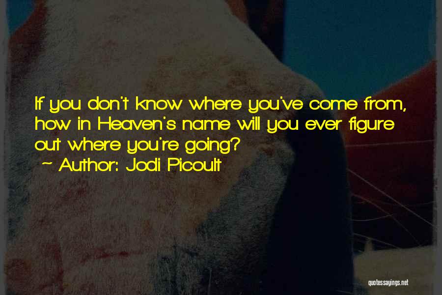 Jodi Picoult Quotes: If You Don't Know Where You've Come From, How In Heaven's Name Will You Ever Figure Out Where You're Going?
