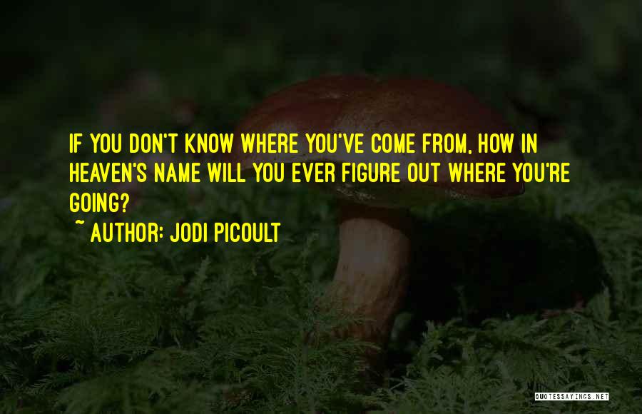 Jodi Picoult Quotes: If You Don't Know Where You've Come From, How In Heaven's Name Will You Ever Figure Out Where You're Going?