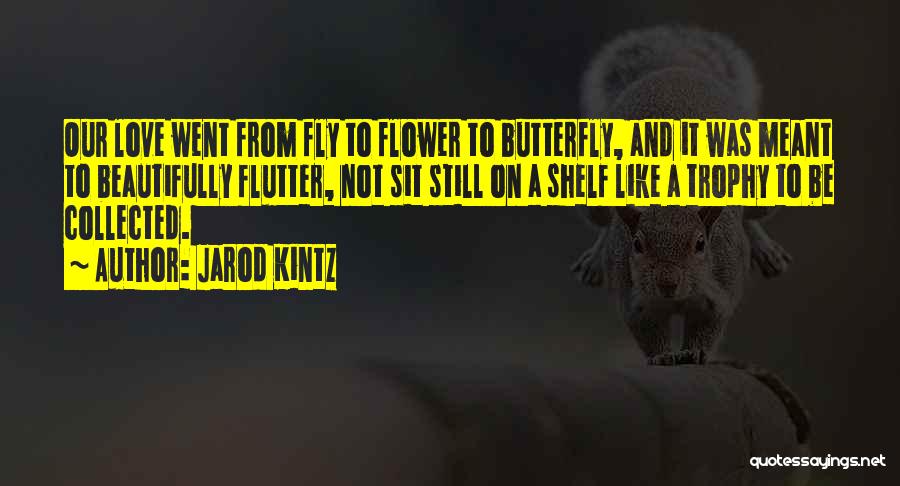 Jarod Kintz Quotes: Our Love Went From Fly To Flower To Butterfly, And It Was Meant To Beautifully Flutter, Not Sit Still On