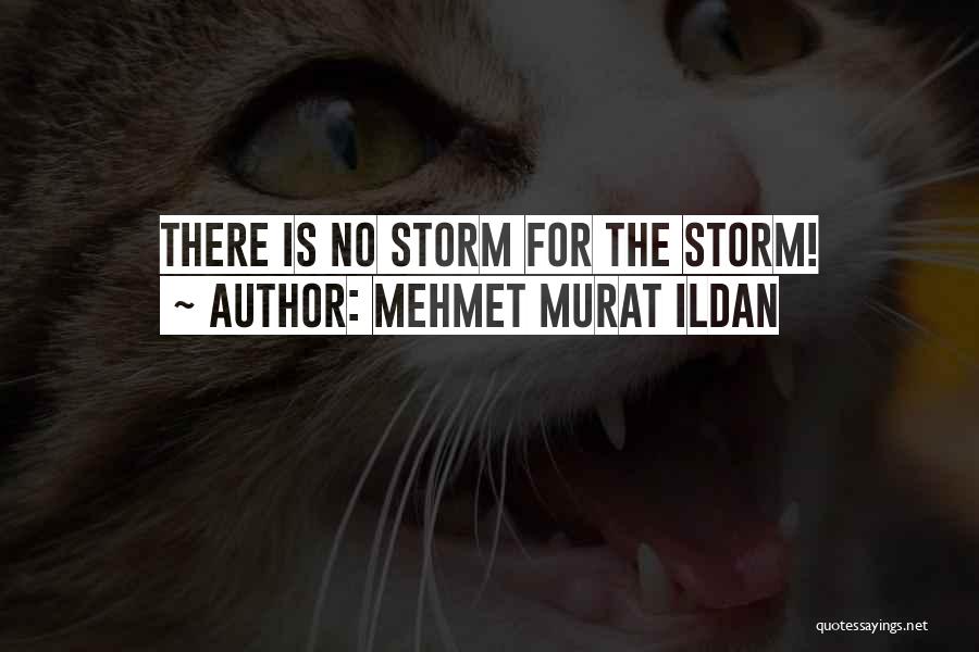 Mehmet Murat Ildan Quotes: There Is No Storm For The Storm!