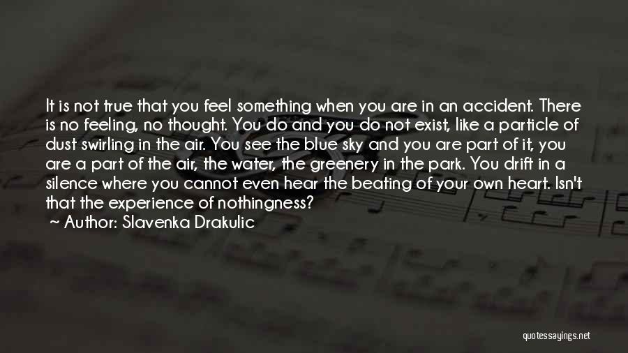 Slavenka Drakulic Quotes: It Is Not True That You Feel Something When You Are In An Accident. There Is No Feeling, No Thought.