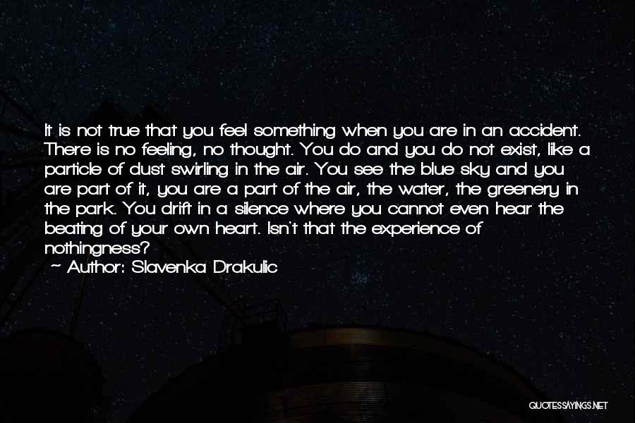 Slavenka Drakulic Quotes: It Is Not True That You Feel Something When You Are In An Accident. There Is No Feeling, No Thought.