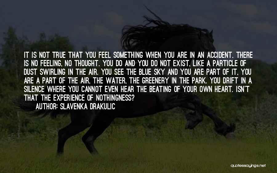 Slavenka Drakulic Quotes: It Is Not True That You Feel Something When You Are In An Accident. There Is No Feeling, No Thought.