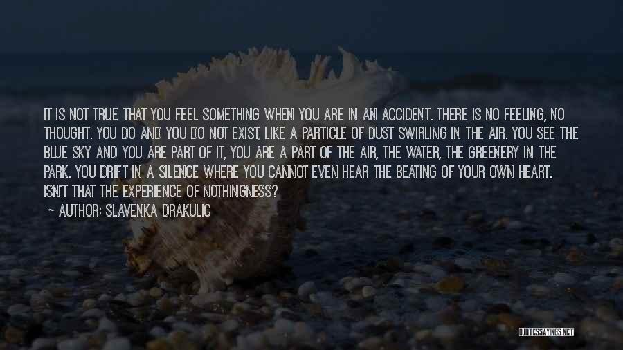 Slavenka Drakulic Quotes: It Is Not True That You Feel Something When You Are In An Accident. There Is No Feeling, No Thought.