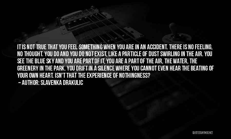 Slavenka Drakulic Quotes: It Is Not True That You Feel Something When You Are In An Accident. There Is No Feeling, No Thought.