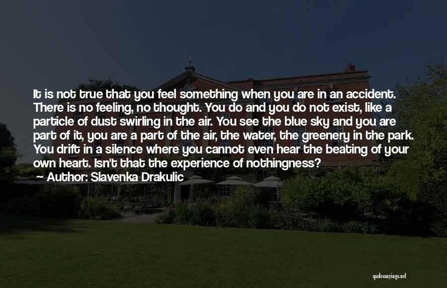Slavenka Drakulic Quotes: It Is Not True That You Feel Something When You Are In An Accident. There Is No Feeling, No Thought.