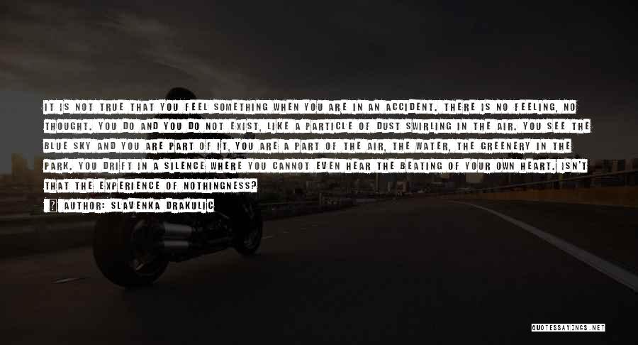 Slavenka Drakulic Quotes: It Is Not True That You Feel Something When You Are In An Accident. There Is No Feeling, No Thought.
