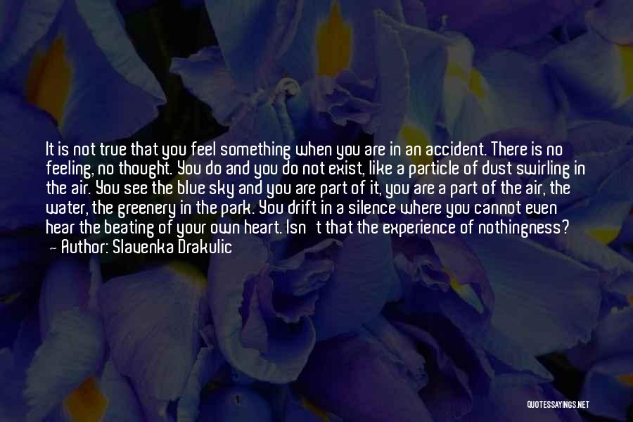 Slavenka Drakulic Quotes: It Is Not True That You Feel Something When You Are In An Accident. There Is No Feeling, No Thought.