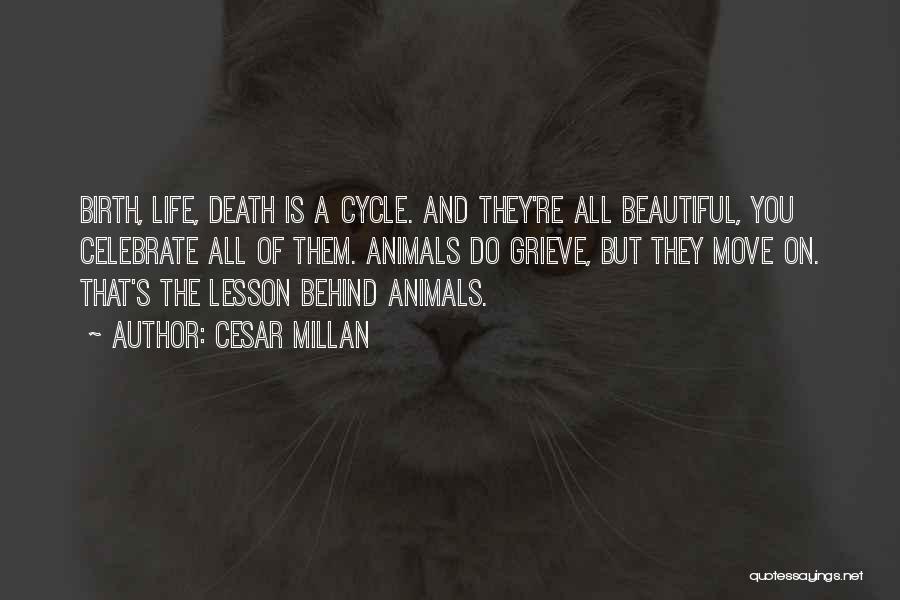 Cesar Millan Quotes: Birth, Life, Death Is A Cycle. And They're All Beautiful, You Celebrate All Of Them. Animals Do Grieve, But They