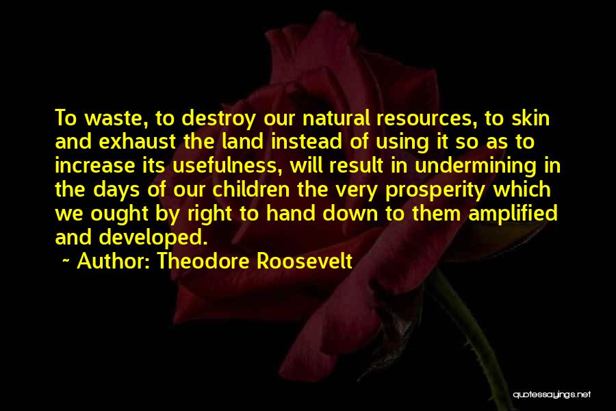 Theodore Roosevelt Quotes: To Waste, To Destroy Our Natural Resources, To Skin And Exhaust The Land Instead Of Using It So As To