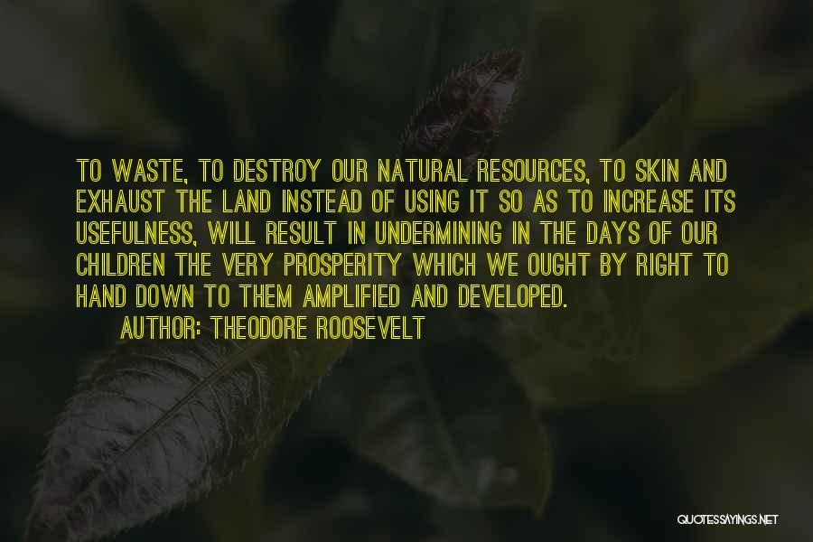 Theodore Roosevelt Quotes: To Waste, To Destroy Our Natural Resources, To Skin And Exhaust The Land Instead Of Using It So As To