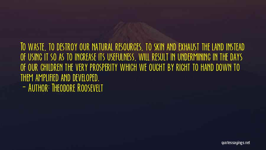 Theodore Roosevelt Quotes: To Waste, To Destroy Our Natural Resources, To Skin And Exhaust The Land Instead Of Using It So As To