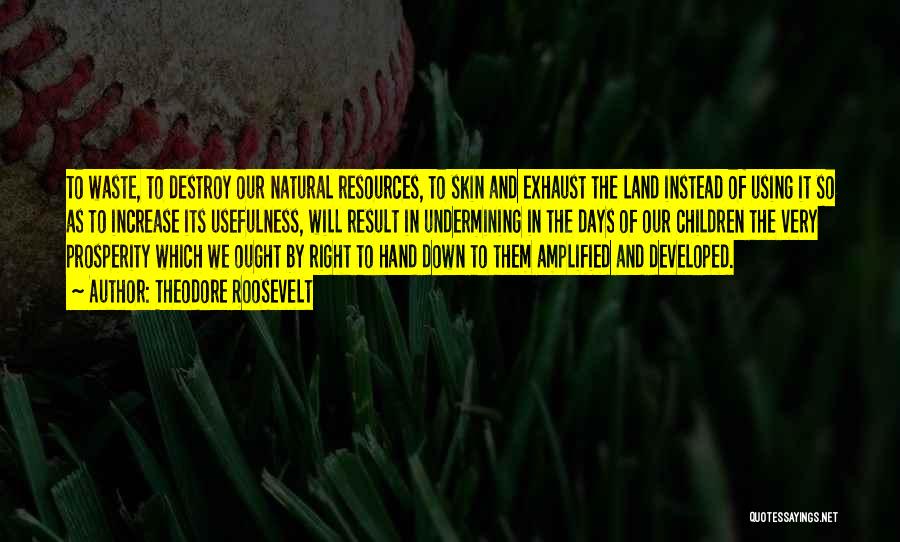 Theodore Roosevelt Quotes: To Waste, To Destroy Our Natural Resources, To Skin And Exhaust The Land Instead Of Using It So As To