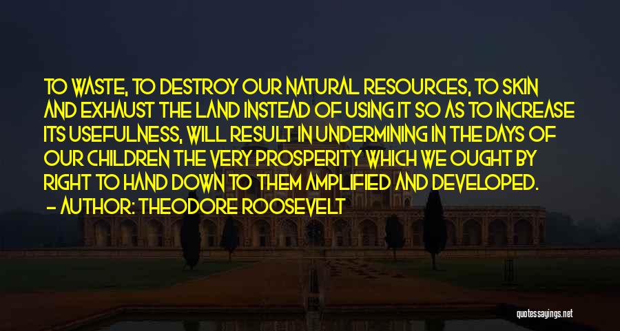 Theodore Roosevelt Quotes: To Waste, To Destroy Our Natural Resources, To Skin And Exhaust The Land Instead Of Using It So As To