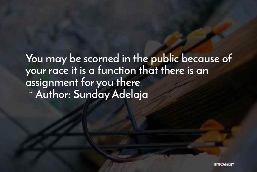 Sunday Adelaja Quotes: You May Be Scorned In The Public Because Of Your Race It Is A Function That There Is An Assignment