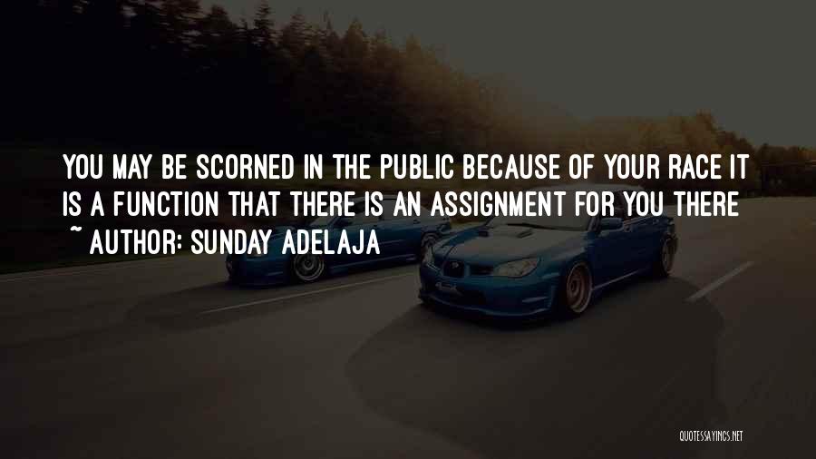 Sunday Adelaja Quotes: You May Be Scorned In The Public Because Of Your Race It Is A Function That There Is An Assignment
