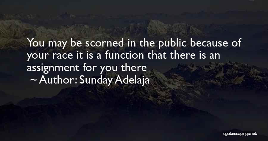Sunday Adelaja Quotes: You May Be Scorned In The Public Because Of Your Race It Is A Function That There Is An Assignment
