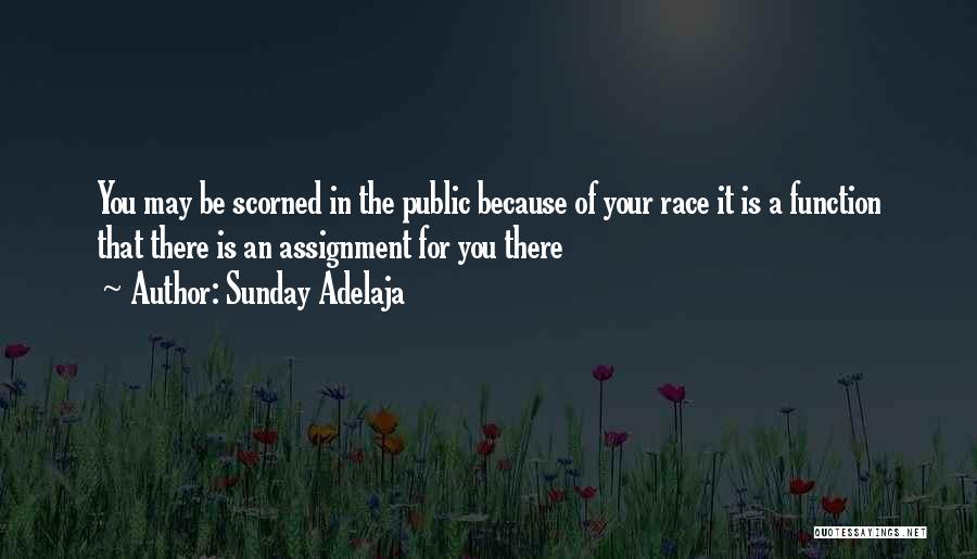 Sunday Adelaja Quotes: You May Be Scorned In The Public Because Of Your Race It Is A Function That There Is An Assignment