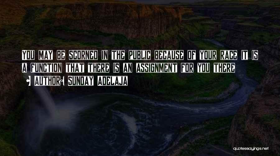 Sunday Adelaja Quotes: You May Be Scorned In The Public Because Of Your Race It Is A Function That There Is An Assignment