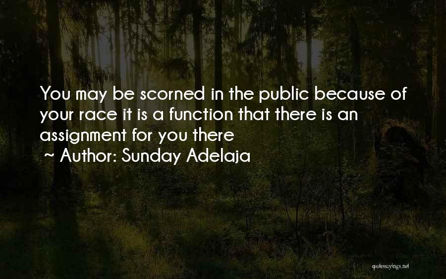 Sunday Adelaja Quotes: You May Be Scorned In The Public Because Of Your Race It Is A Function That There Is An Assignment