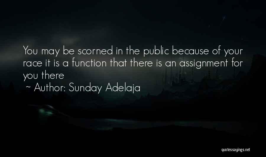 Sunday Adelaja Quotes: You May Be Scorned In The Public Because Of Your Race It Is A Function That There Is An Assignment