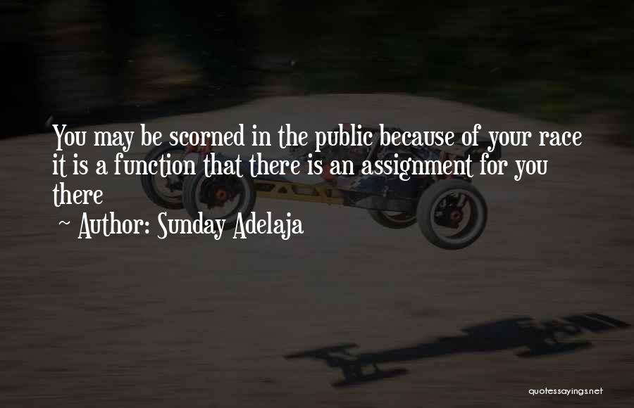 Sunday Adelaja Quotes: You May Be Scorned In The Public Because Of Your Race It Is A Function That There Is An Assignment