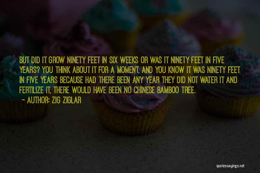 Zig Ziglar Quotes: But Did It Grow Ninety Feet In Six Weeks Or Was It Ninety Feet In Five Years? You Think About