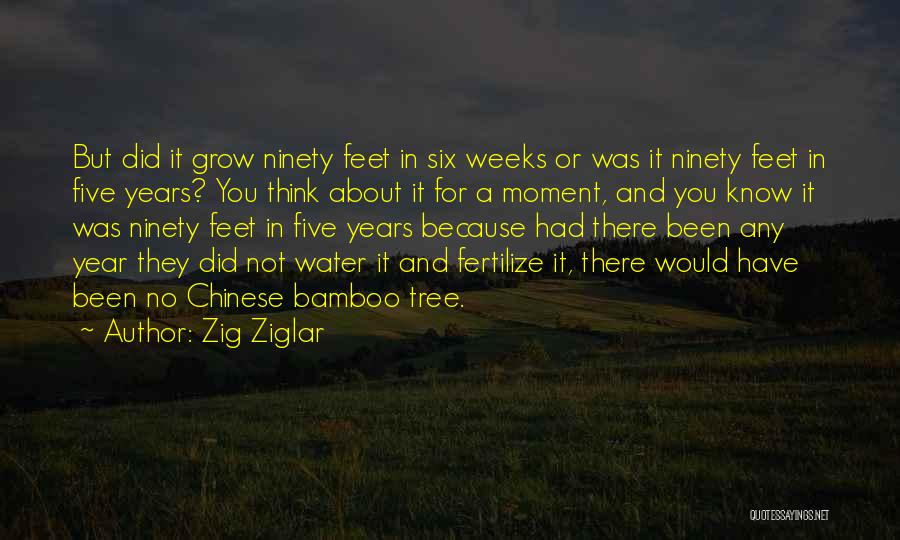 Zig Ziglar Quotes: But Did It Grow Ninety Feet In Six Weeks Or Was It Ninety Feet In Five Years? You Think About