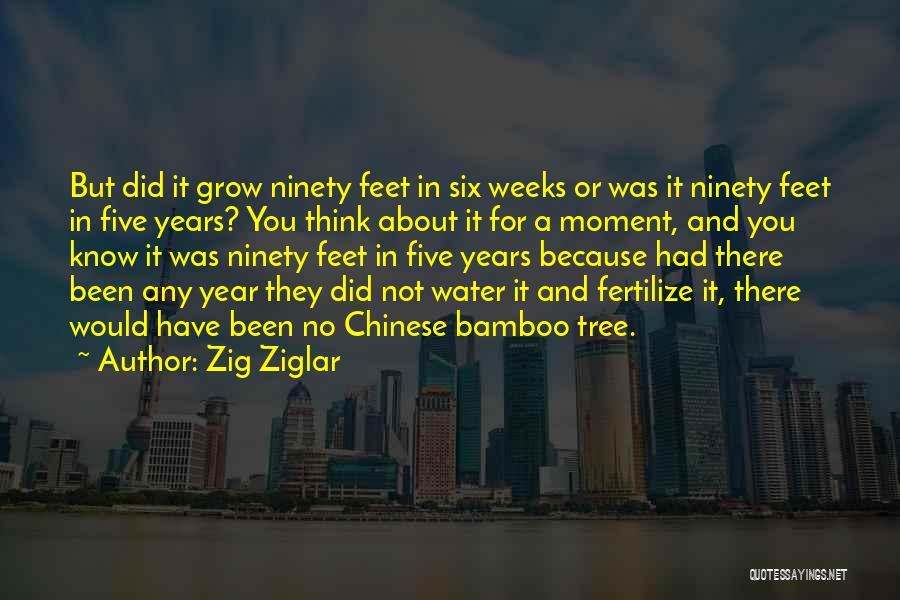 Zig Ziglar Quotes: But Did It Grow Ninety Feet In Six Weeks Or Was It Ninety Feet In Five Years? You Think About