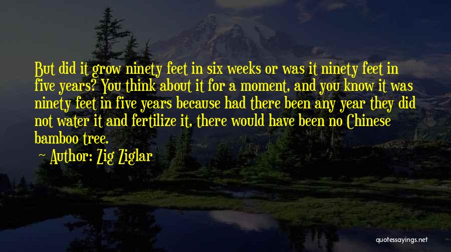 Zig Ziglar Quotes: But Did It Grow Ninety Feet In Six Weeks Or Was It Ninety Feet In Five Years? You Think About