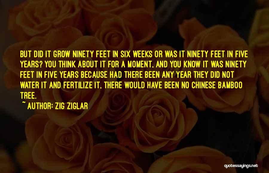 Zig Ziglar Quotes: But Did It Grow Ninety Feet In Six Weeks Or Was It Ninety Feet In Five Years? You Think About