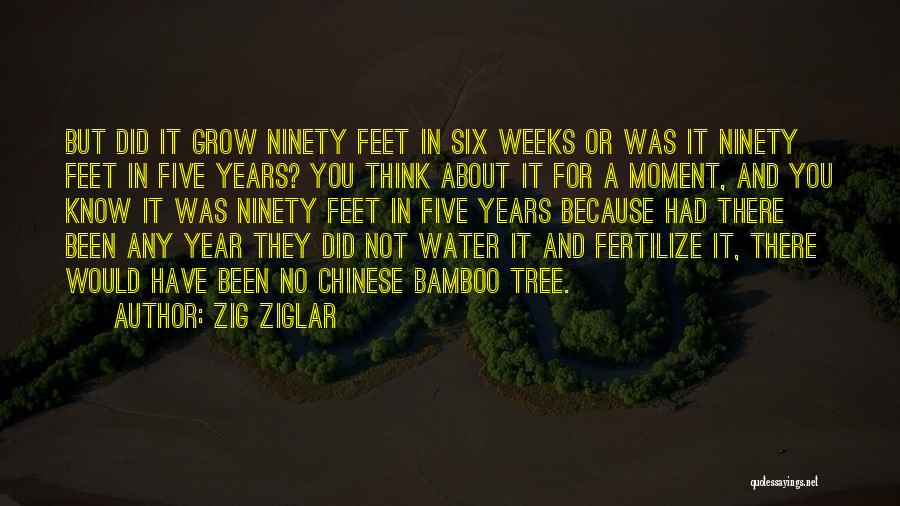 Zig Ziglar Quotes: But Did It Grow Ninety Feet In Six Weeks Or Was It Ninety Feet In Five Years? You Think About