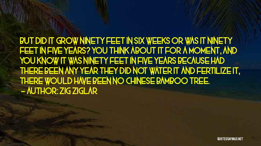 Zig Ziglar Quotes: But Did It Grow Ninety Feet In Six Weeks Or Was It Ninety Feet In Five Years? You Think About