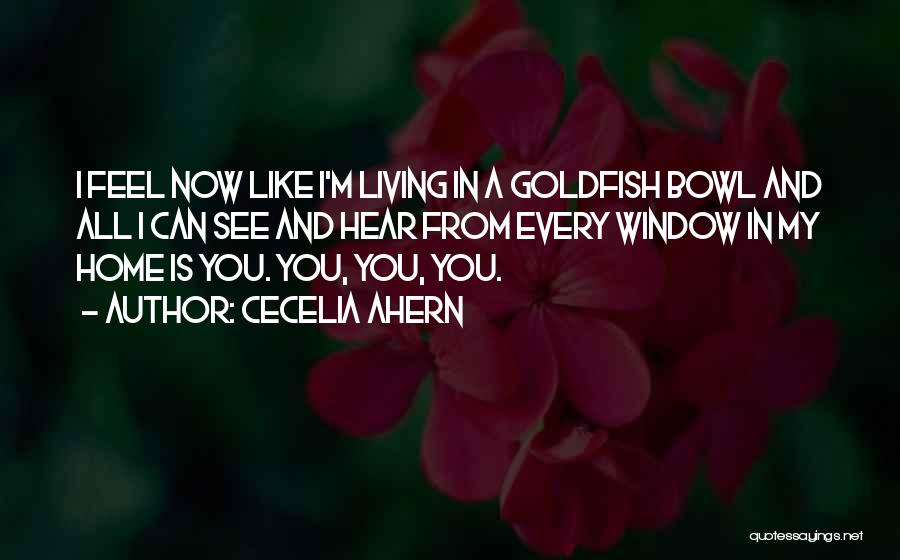 Cecelia Ahern Quotes: I Feel Now Like I'm Living In A Goldfish Bowl And All I Can See And Hear From Every Window